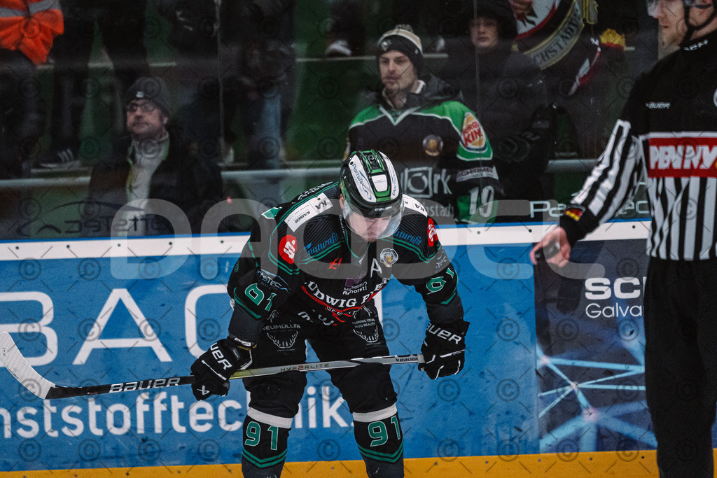 Alligators_vs_Riessersee_03_02_2026-38 | Höchstadt Alligators Fotogalerie: Eishockey-Action aus Franken. Professionelle Spielfotos, Portraits & Stadionbilder zum Download. Jetzt entdecken! - Realisiert mit Pictrs.com