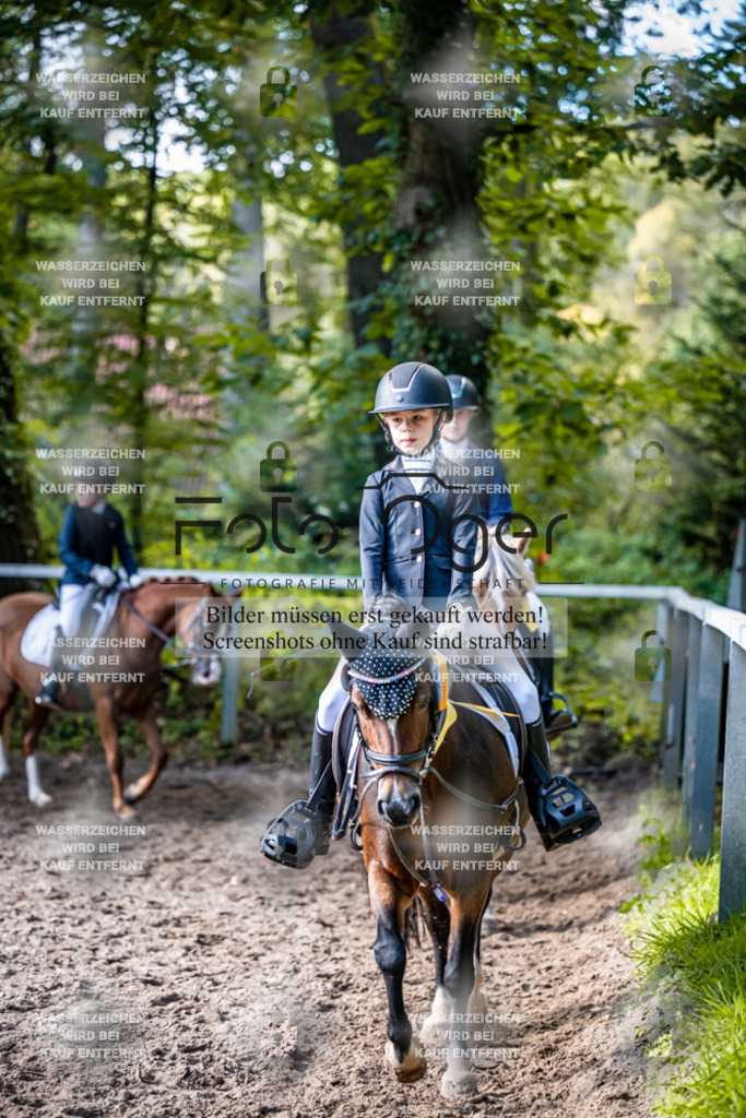 2026-10-Helle-20-4-0069 | Entdecke hochwertige Reitturnierfotos von Foto Oger. Professionell, emotional und authentisch – jetzt Lieblingsmomente im Shop bestellen.Deutschlandweite Turnierfotografie. - Realisiert mit Pictrs.com