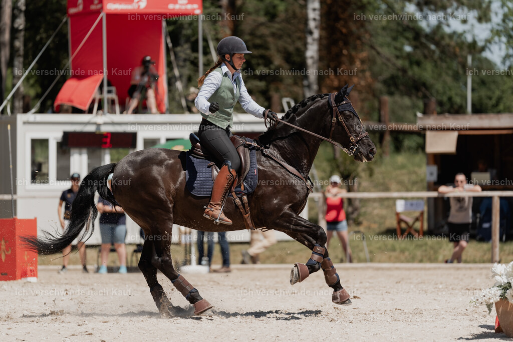 WE_SP_Stoib_315_PI2025_1843 | Pferd International München 2025