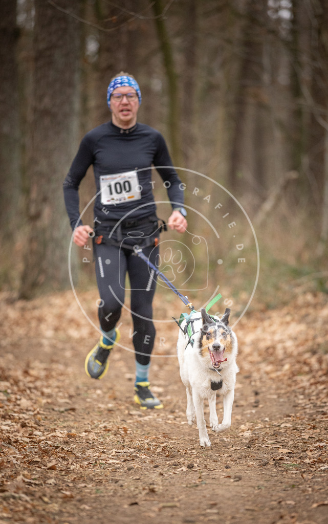 Pfotenfotografie_DV3A7541 | Hundefotografie, Tierfotograf, Pfotenfotografie, Fotoshooting Hund, Hunde Portrait, Hundesport, Hundeportraits, Heideshooting, Hunde, Sportfotograf, Hundefotograf, Turnierhundsport, THS,  - Realisiert mit Pictrs.com