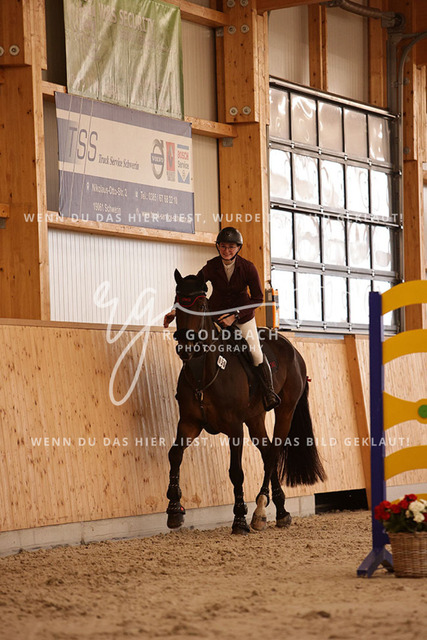 1J2A2989Leonie Ulrich_ Campino M 5_ Kn058_ Hohen Wieschendorf_ Glantz | Foto- und Videografie für alles rund ums Pferd. Hochwertige Bilder und Videos vom Spring- und Dressurreiten, Voltigieren & mehr. Jetzt aktuelle Veranstaltungen und Preise im Shop ansehen. - Realisiert mit Pictrs.com