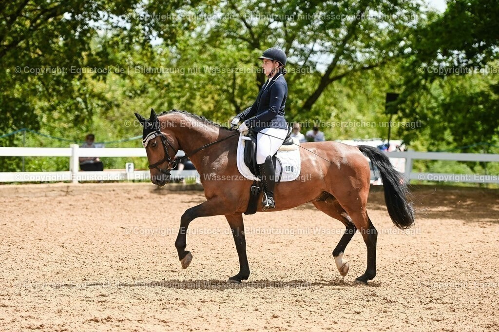 20230716_03_Dressurprfg. Kl.L - Tr._0667 | equistock