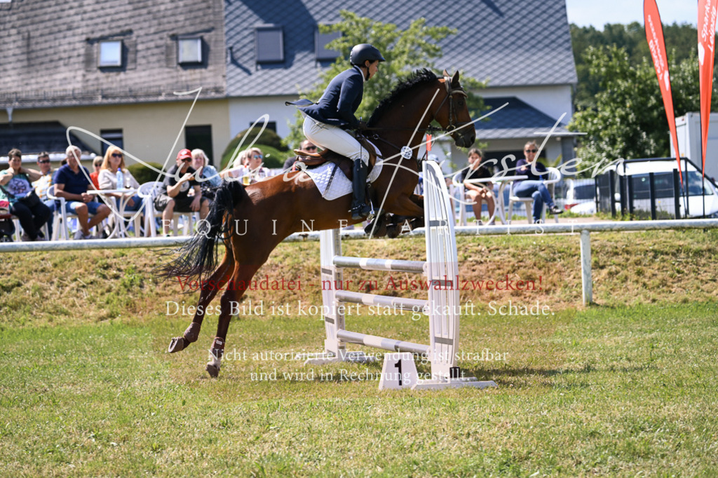 DSC_0424 | Pferde- und Turnierfotografie in Westsachsen. Pferdeportraits, Auftragszeichnungen und intuitive Kunst.