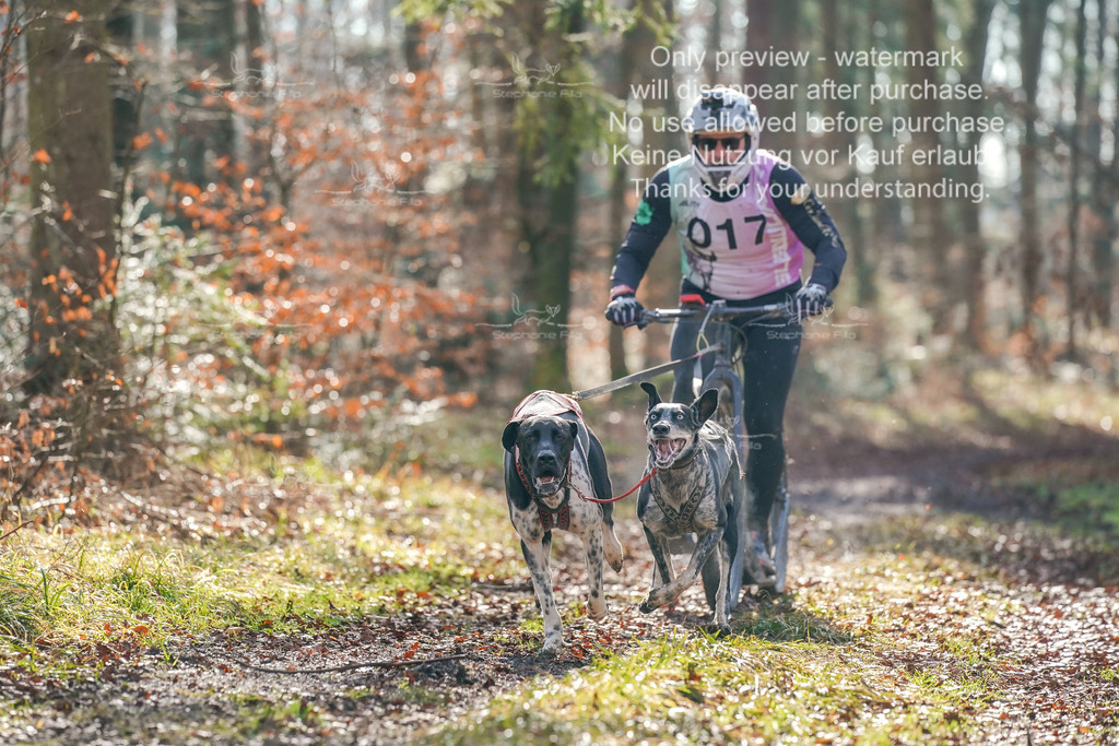 So_Scooter_2-11 | stephaniefillaphotographie - Realisiert mit Pictrs.com