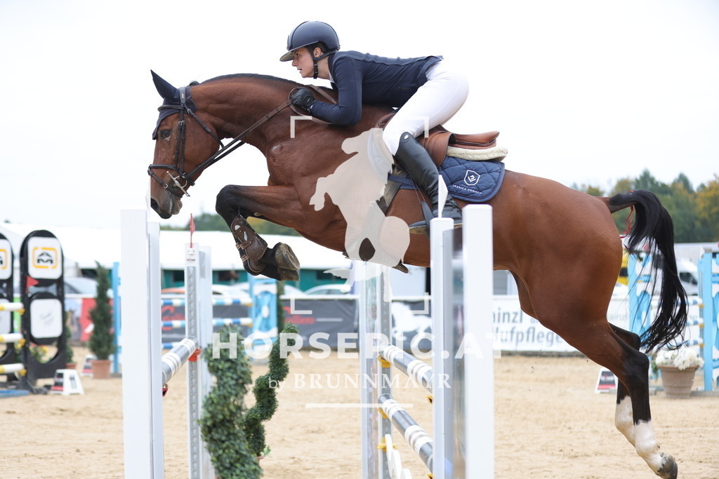 0P6A1712 | Willkommen bei Brunnmayr - Design & Fotografie – Ihrem Spezialisten für Reitturniere und Pferdeveranstaltungen in Oberösterreich, Salzburg und Bayern! Seit über 17 Jahren sind wir leidenschaftlich dabei.