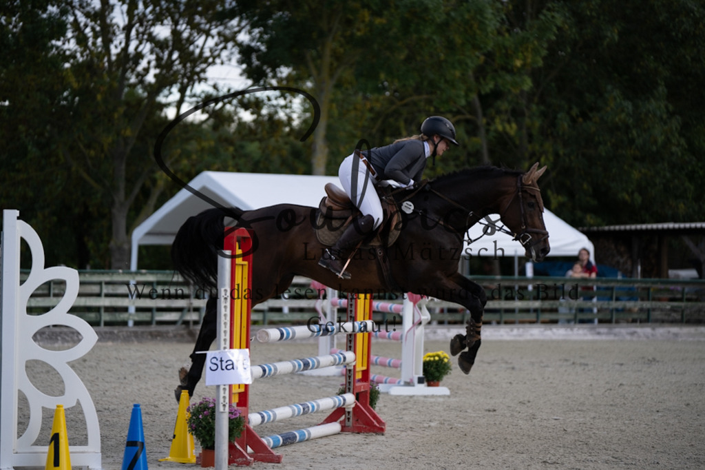 A7V07786 | Pferdefotograf