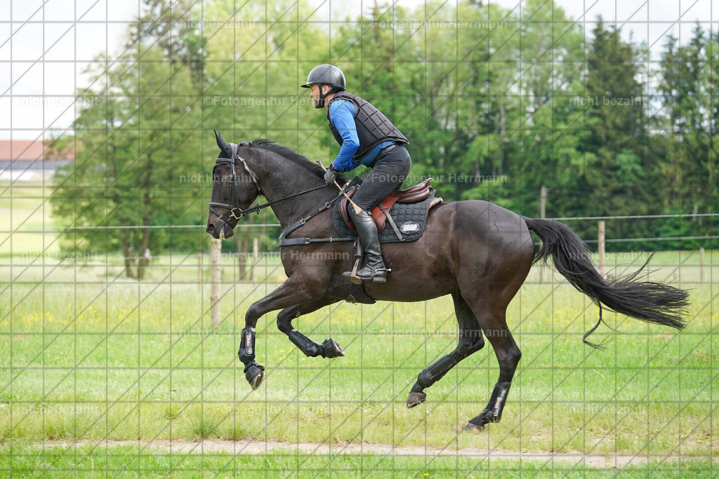 20240518-FAH03981 | Turnierbilder von Niederseon, Turnierfotografen Bayern, Fotoagentur Herrmann, Geländebilder, Reitsportfotografie