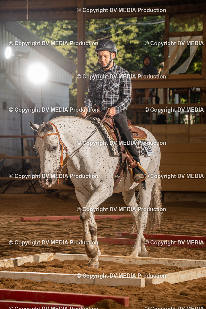 NID02480 | dv-media-shop - Realisiert mit Pictrs.com