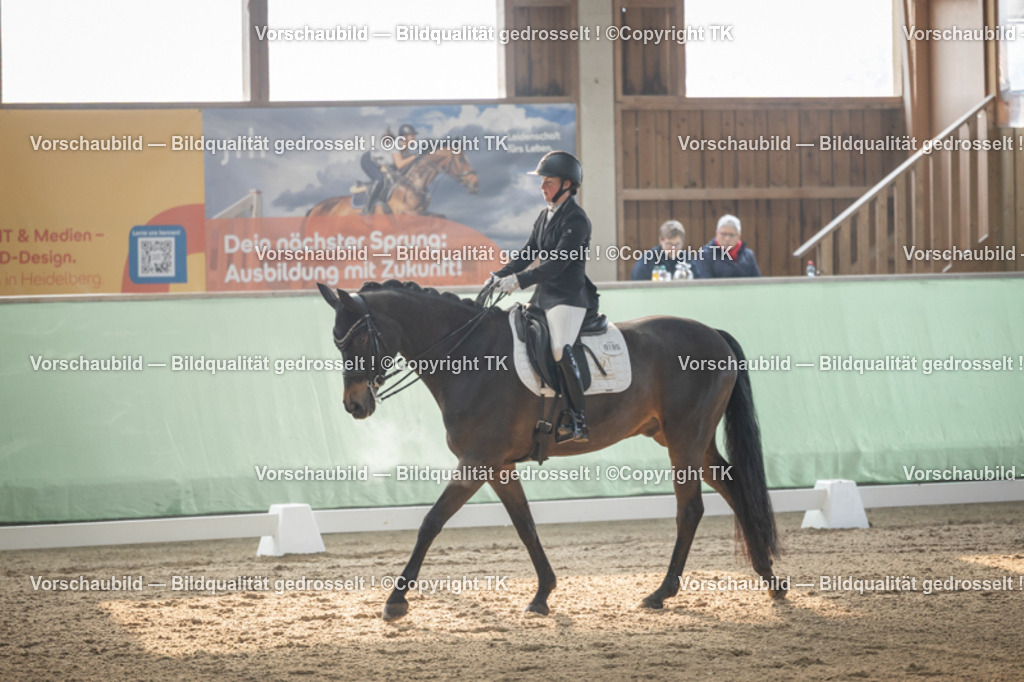 _D5A4079 | Emotionale Pferde- & People-Fotografie rund um Heidelberg, Leimen & Umgebung. Natürliche Fotos von Pferd, Mensch & Familie. Jetzt Termin sichern!