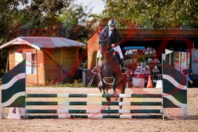 2026_10_03_Siefer-Hof_154324_Z81_61320198 | Professionelle Reitsport-, Turnier- und Eventfotografie von Robert Broda. Galerien mit ausgewählten und bearbeiteten Bildern direkt online ansehen und bestellen.