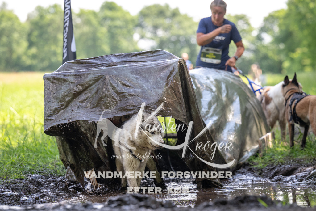 1157_ZZ90414 | kk-dogfotos