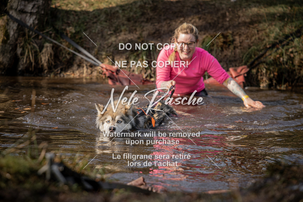 nelerasche_FS1330-1400_372 | nelerasche