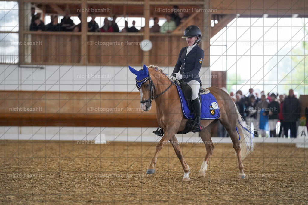 20240825-FAH09200 | Turnierbilder, Reitsportfotos, LAPO, Landesponyturnier, Turnierfotografen Bayern
