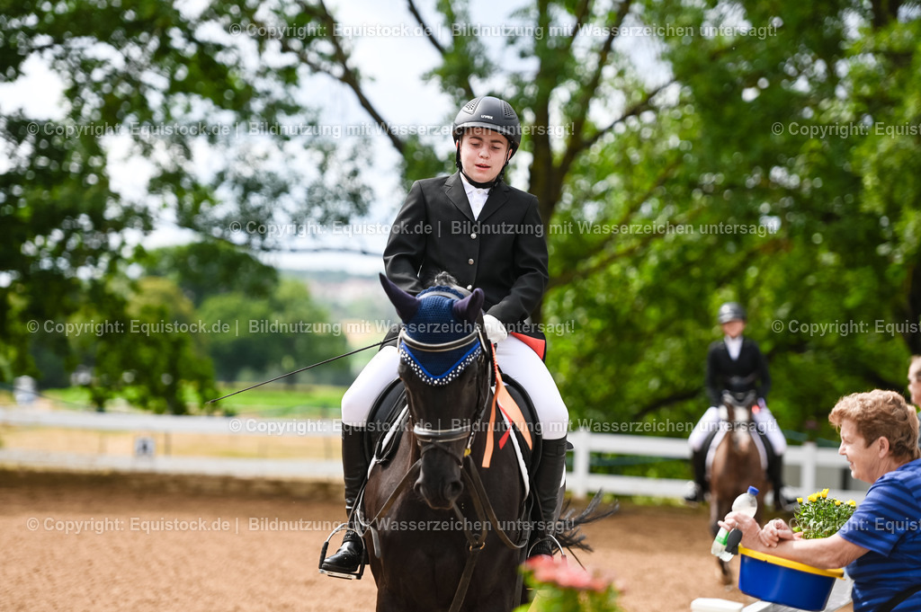 20230716_10-1_Reiter-WB Schritt - Trab - Galopp_0279 | equistock