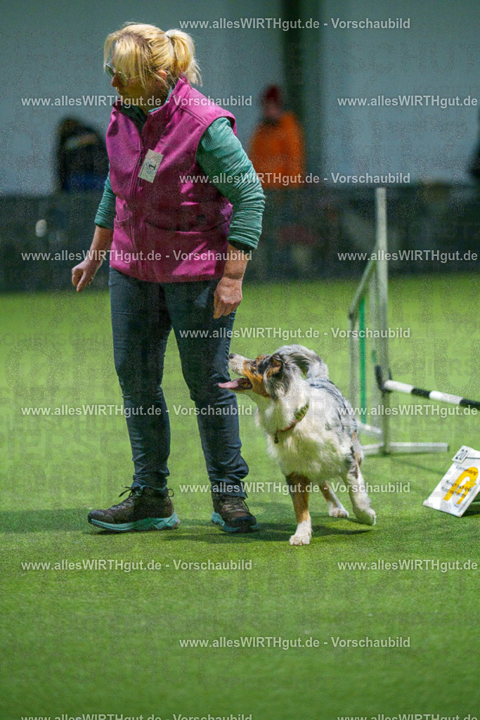 7R509599 | Professionelle Tierfotografie in Mönchengladbach von Daniel Wirth (allesWIRTHgut). Liebevolle & natürliche Bilder von Hunden & Katzen für unvergessliche Erinnerungen.