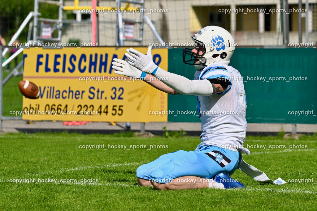 Carinthian Lions vs. Styrian Bears | Carinthian Lions vs. Styrian Bears, Carinthian Lions vs. Styrian Bears am 20.05.2024 in Klagenfurt (ASV Sportplatz), Austria, (Photo by Bernd Stefan)