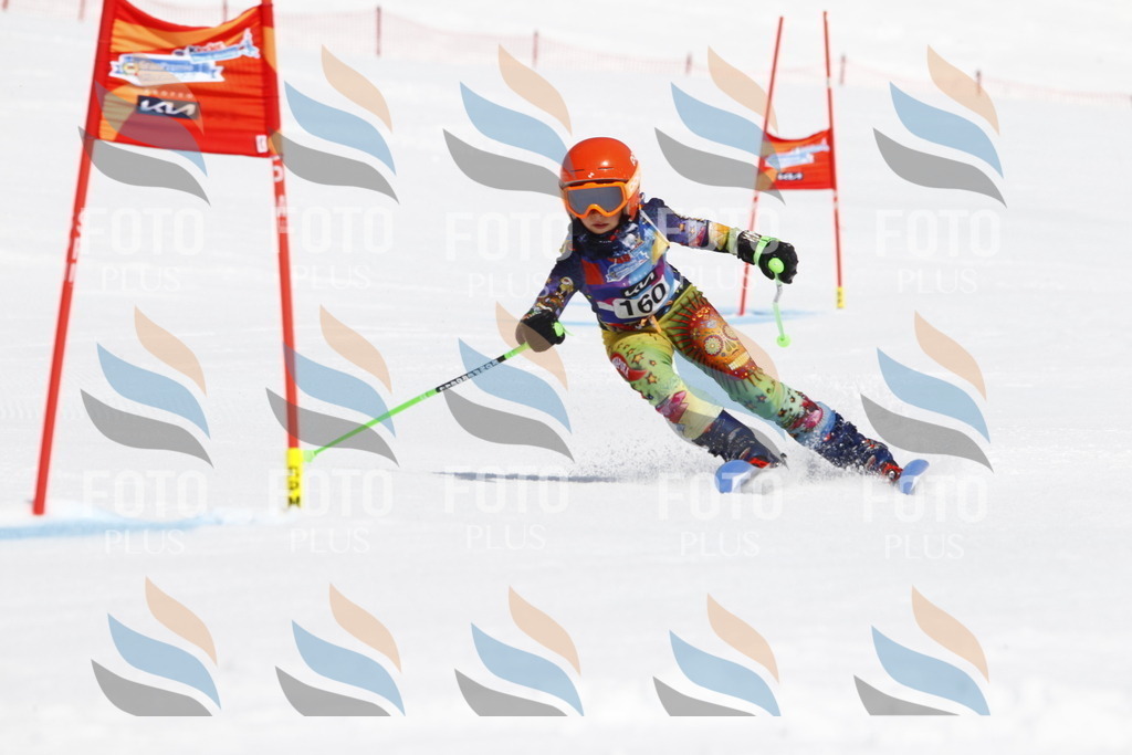 _U3G4324 | holidayphoto