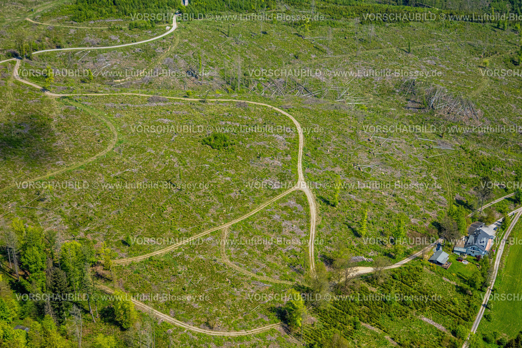 Brilon240503869 | Luftbild, Waldgebiet mit Waldschäden Kalamitätsflächen, östliches Waldgebiet des Flusses Hoppecke bei Brilon-Wald, Brilon, Sauerland, Nordrhein-Westfalen, Deutschland