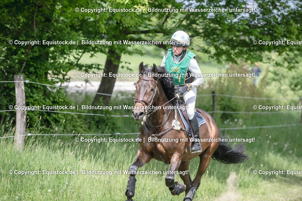 20250517_CCI1_Gelände_0168 | Foto: Thomas Hartig