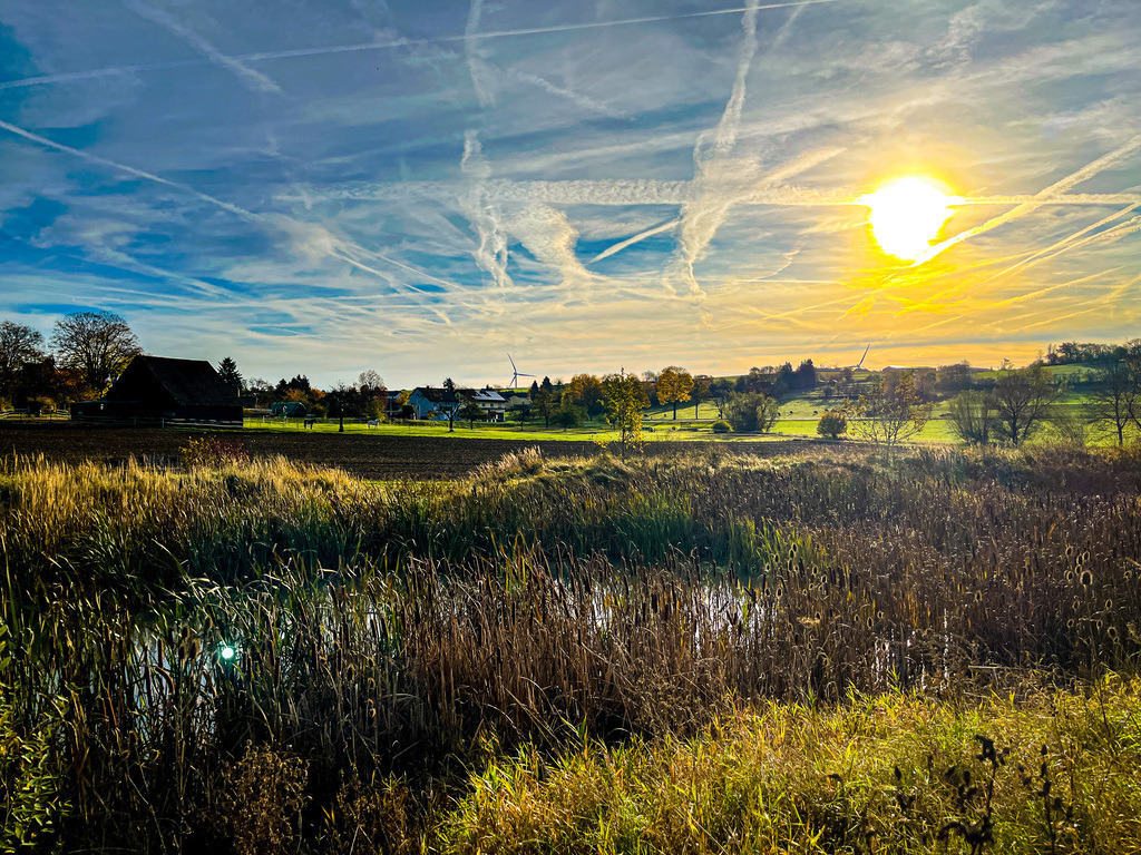 Himmlicher Teichblick - Wenings | Das Leben ist ein ewiger Kreislauf. Im Frühling recken sich die Triebe. Im Sommer stehen sie im vollen Saft. Im Herbst zeigt sich der Farben Liebe und im Winter ruht die Blätterpracht. Jede Jahreszeit ist in sich ein Kunstwerk, dass wir Tag für Tag aufs Neue erleben dürfen. Manchmal lohnt es sich, morgens hinauszugehen und noch vor dem Alltagsstart, die einzigartige Vielfalt der Natur in sich aufzunehmen. Unter den Herbstblättern versteckt wartet der feine Samen der Poesie auf den aufmerksamen Spaziergänger, der ihn zum Erblühen bringt. - Realisiert mit Pictrs.com
