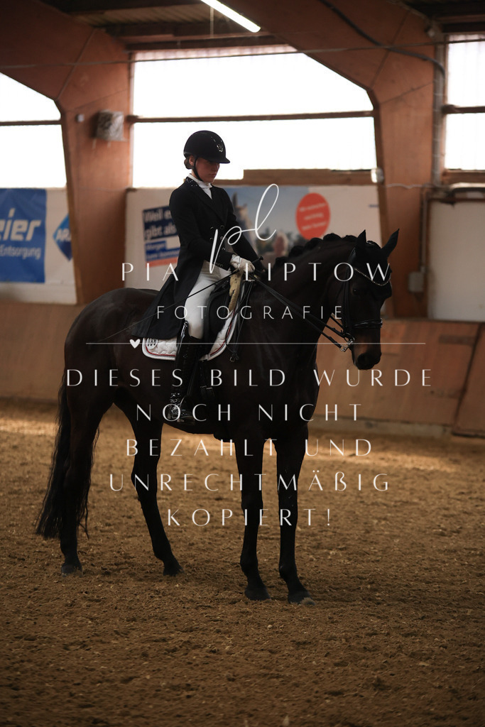 IMGT4480 | pl-fotografie