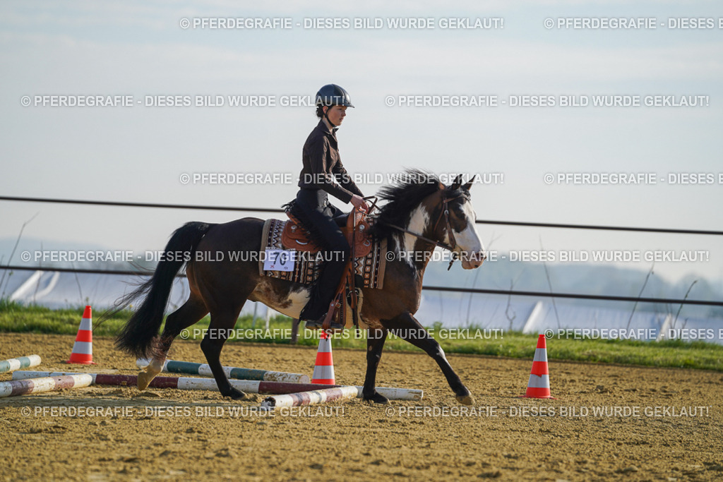 DSC00726 | Pferdegrafie