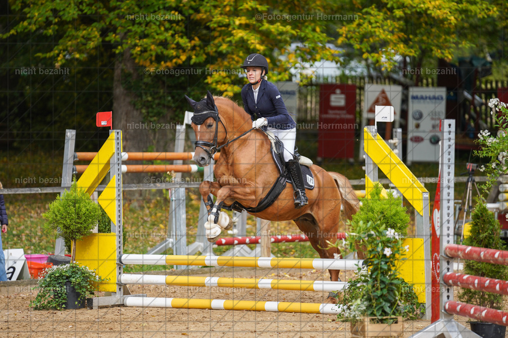 20221009-FAH08604 | Diessen am Ammersee, 2022, Dressur- und Springturnier, Reitsportbilder, Turnierfotografen Bayern, Pferdefotografen, Fotoagentur Herrmann, Turnierbilder