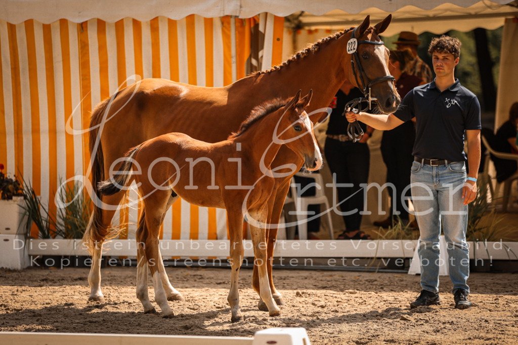 07.DoWBS00124 | Leoni Ertmer Photography - Realisiert mit Pictrs.com