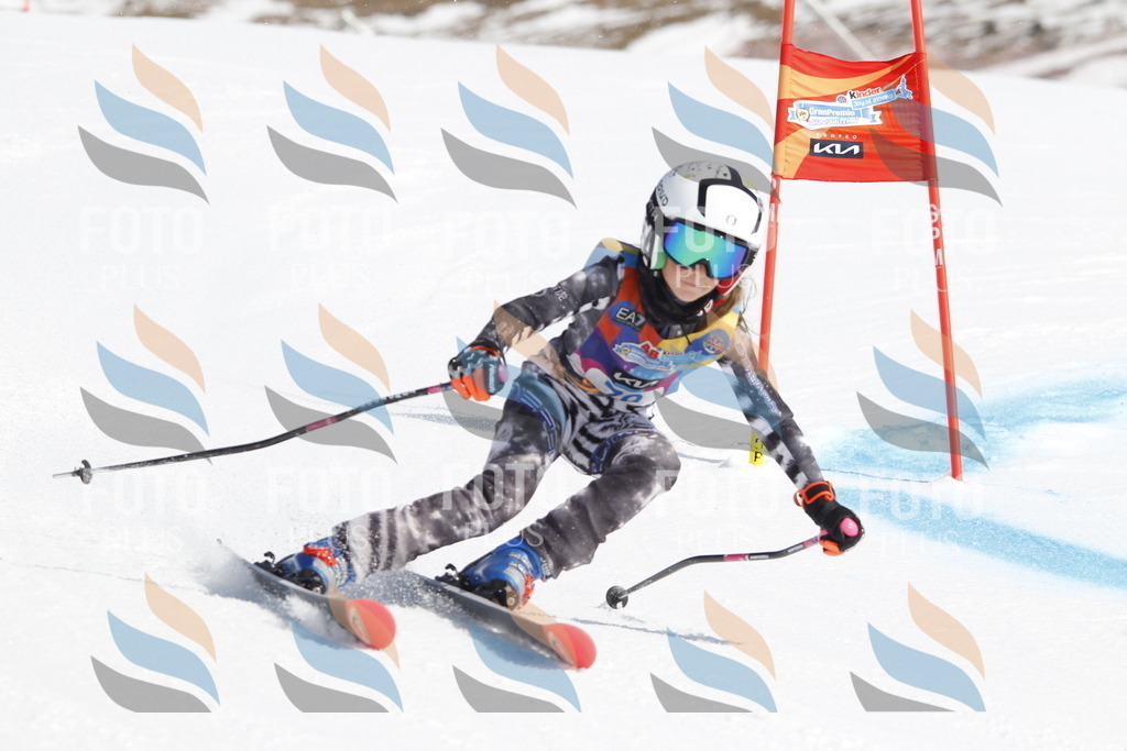 _U3G9984 | holidayphoto