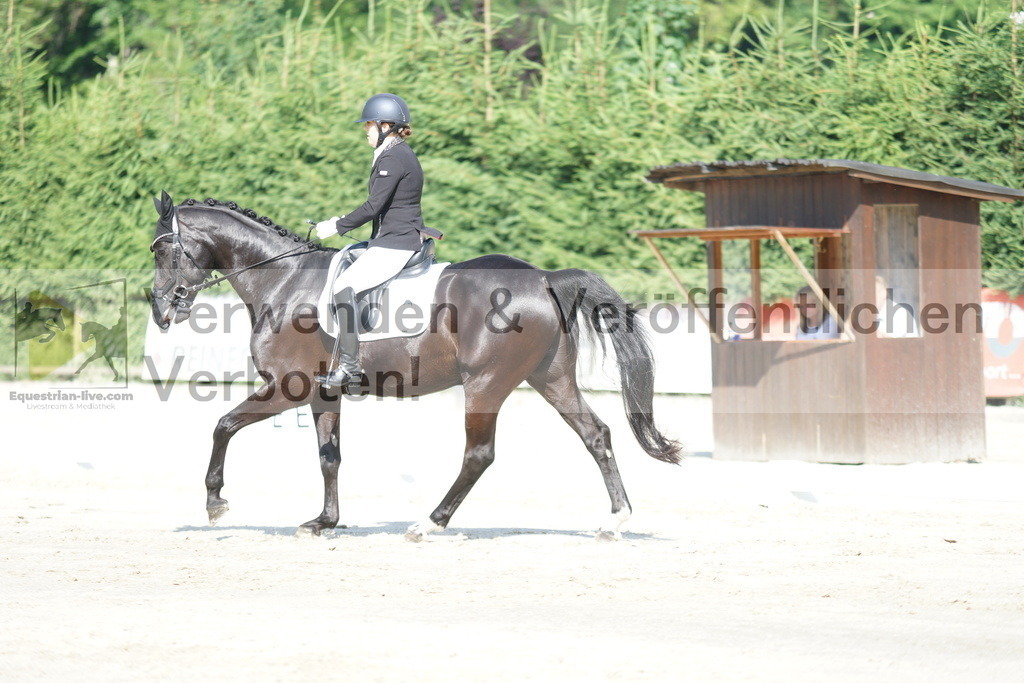 DSC04543 | equestrian-live-com