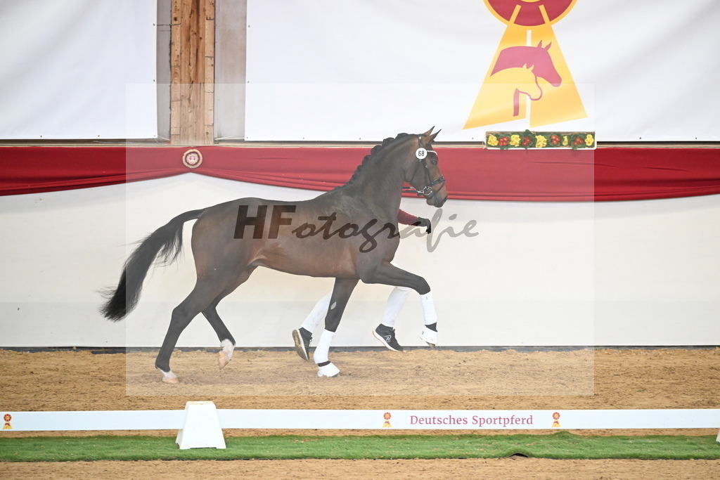 Kat.-Nr. 68 v. Fynch Hatton_Kampe_2250492 | hf-fotografie - Realisiert mit Pictrs.com