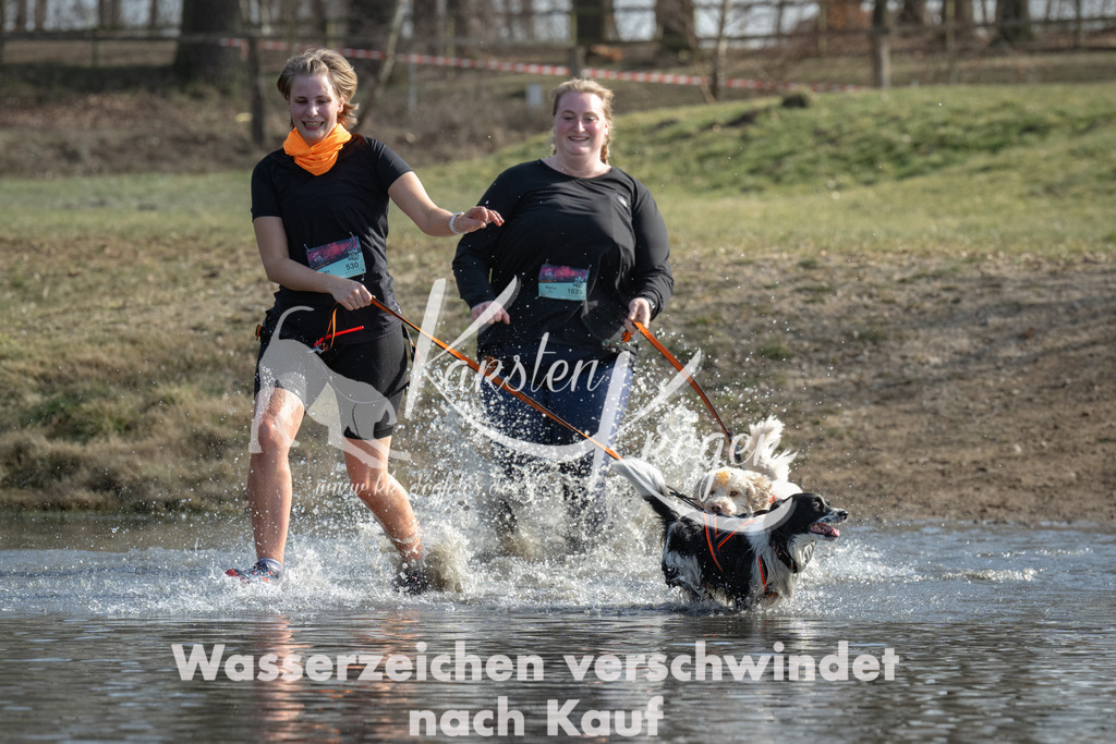 1317_ZZ95710 | kk-dogfotos