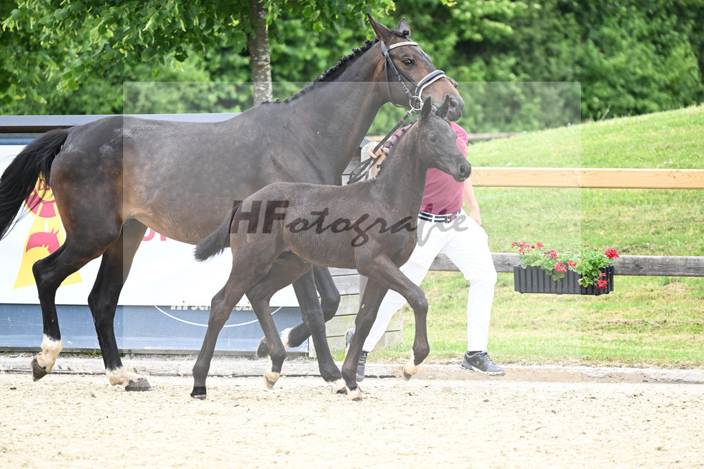 Kat-Nr. nn HF Zauberlehrling_Kopp_17231189 | hf-fotografie - Realizzato con Pictrs.com