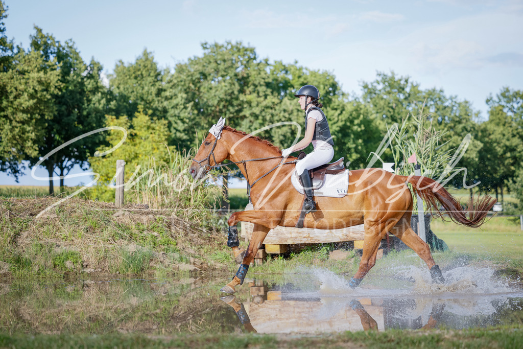 20250905-_3LI2233 | Tierfotografie Pferde, Hunde, Katzen, Haustiere.
Turnierfotografie Reitturniere, Reiten, Springreiten, Dressur in Hanau, dem Main-Kinzig-Kreis und dem Rhein-Main- Gebiet um Frankfurt