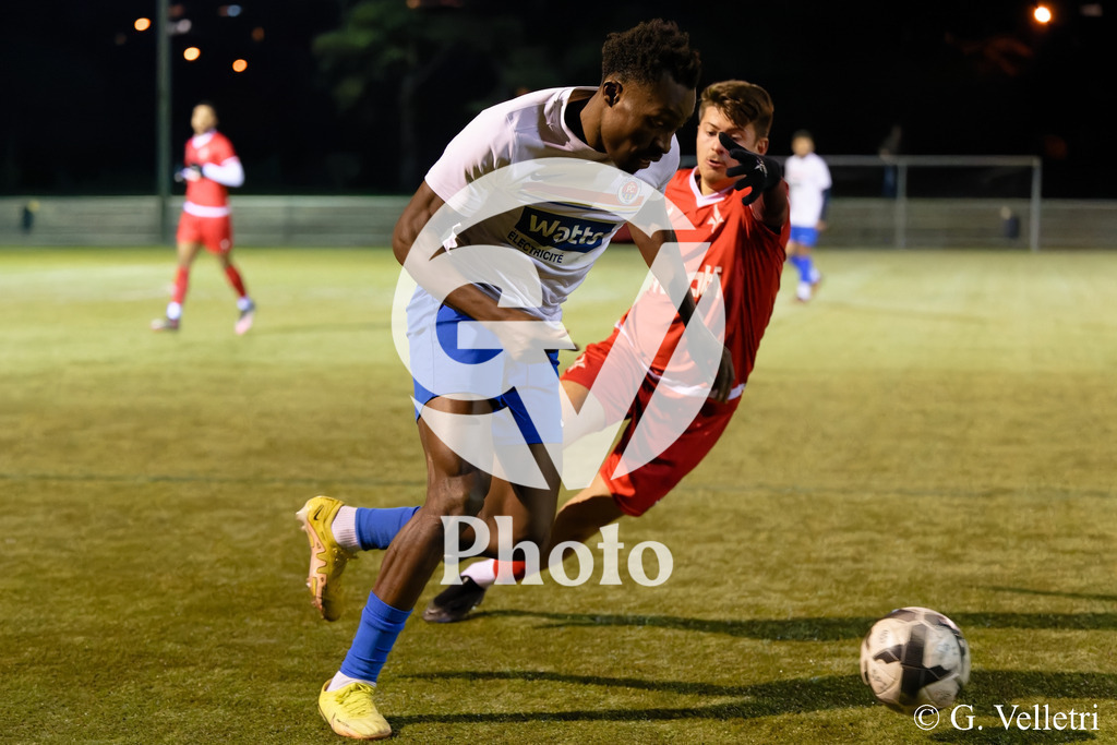 DSC_4629 | Velletri Photo