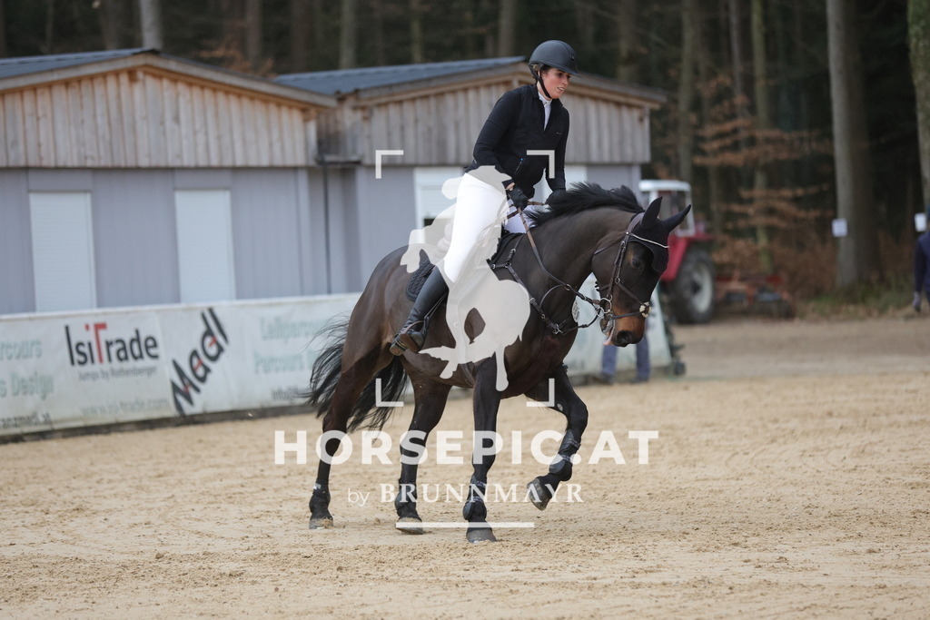 0P6A5515 | Willkommen bei Brunnmayr - Design & Fotografie – Ihrem Spezialisten für Reitturniere und Pferdeveranstaltungen in Oberösterreich, Salzburg und Bayern! Seit über 17 Jahren sind wir leidenschaftlich dabei.