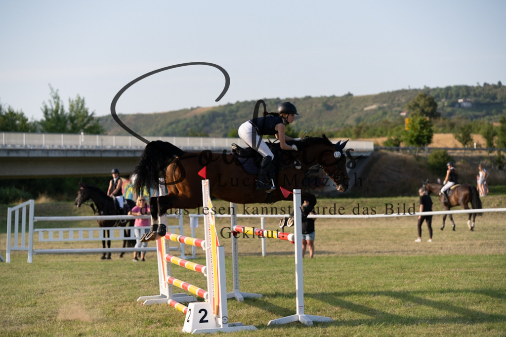 A7V01020 | Pferdefotograf