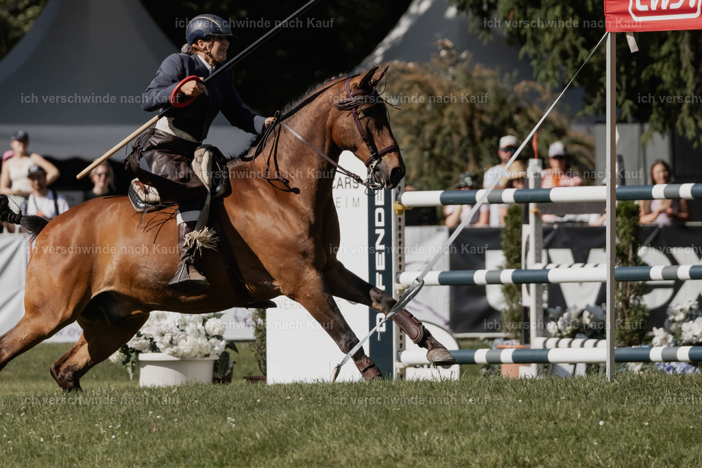 WE_MOS_Stoib_313_PI2025_2258 | Pferd International München 2025