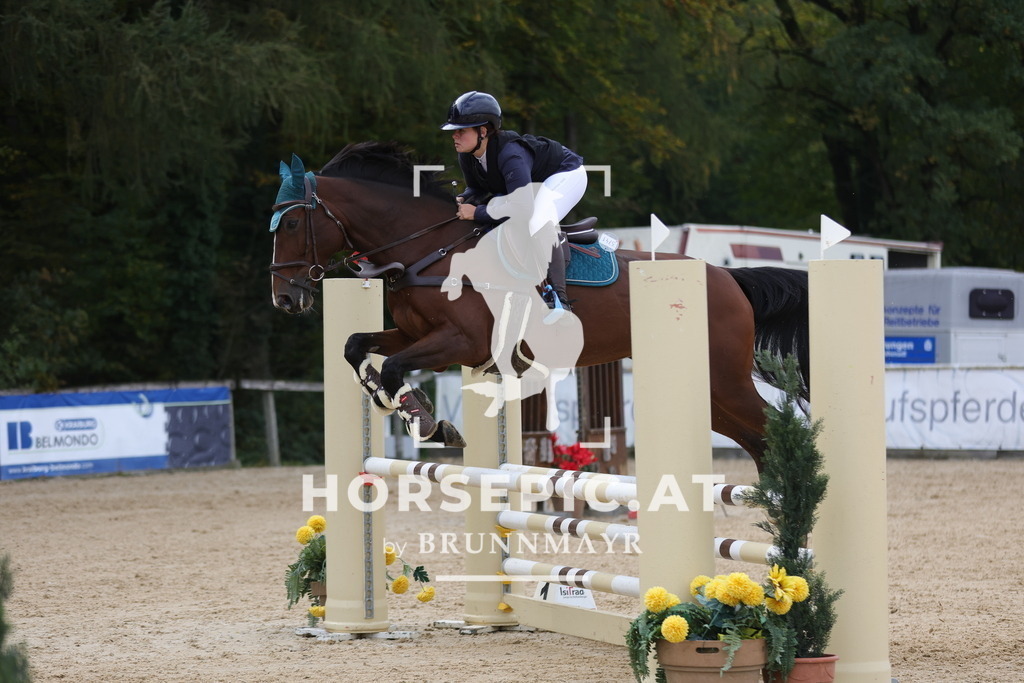 0P6A2780 | Willkommen bei Brunnmayr - Design & Fotografie – Ihrem Spezialisten für Reitturniere und Pferdeveranstaltungen in Oberösterreich, Salzburg und Bayern! Seit über 17 Jahren sind wir leidenschaftlich dabei.