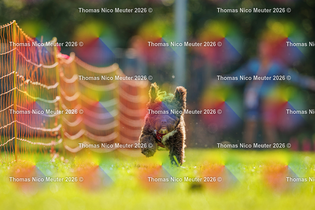 Thomas_Nico_Meuter(C)_06. September 2026_223A0118 | Bild von Thomas Nico Meuter - Realisiert mit Pictrs.com