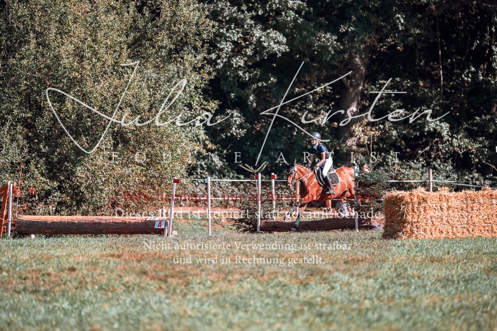 DSC_0969 | Pferde- und Turnierfotografie in Westsachsen. Pferdeportraits, Auftragszeichnungen und intuitive Kunst.