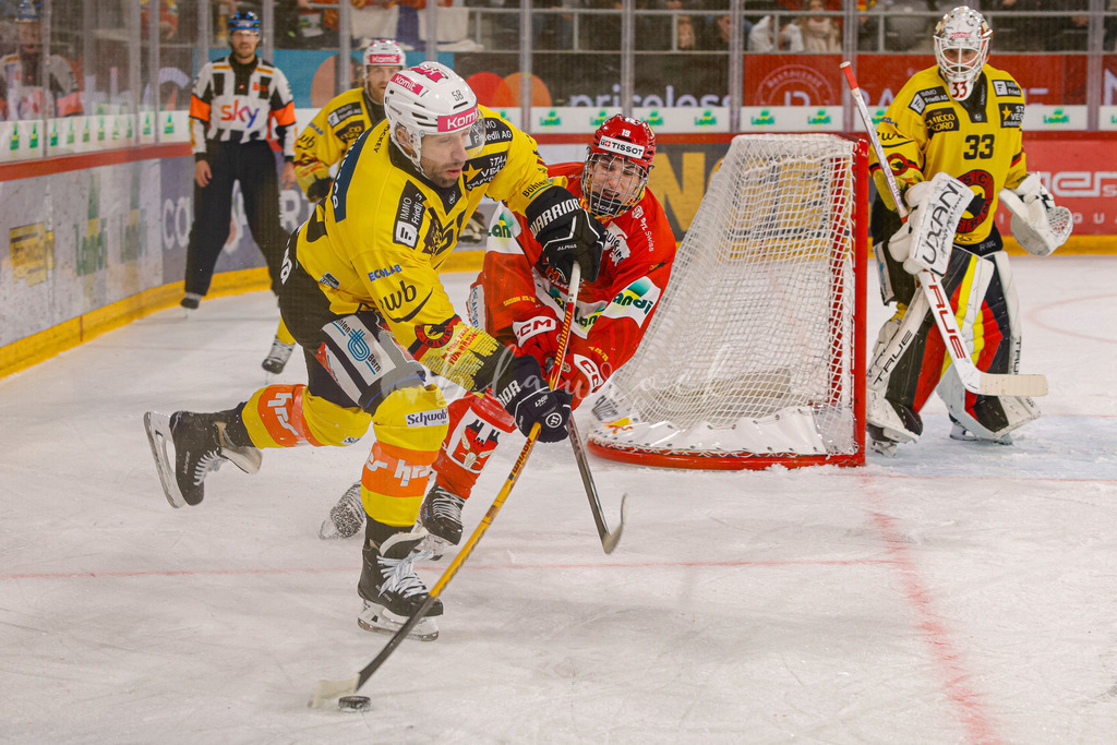 EHCB vs SCB 20260110_wb-3738 | Sportbilder, Sportfotograf, Hochzeits- und Eventfotografin, Flugshows, Portraits und Tiershooting, Aviation, Downhill, Nationalleague, Swissleague, International