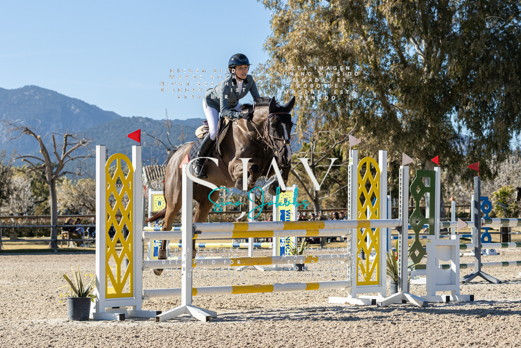 IMG_1543 | s-jay-photography - Realisiert mit Pictrs.com