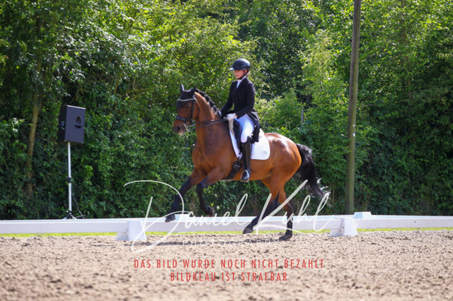 DKP41404 | Deine Turnierfotos vom Reitturnier online kaufen: Dressur, Springen & Siegerehrung. Professionelle Pferdefotografie aus dem Rheinland – als Download & Print.Alternative: Turnierfotograf für den Pferdesport: Finde deine Fotos von Dressur- und Springturnier