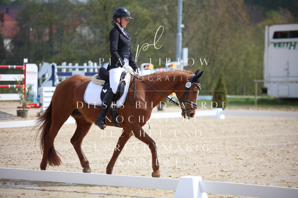 IMGT2564 | pl-fotografie