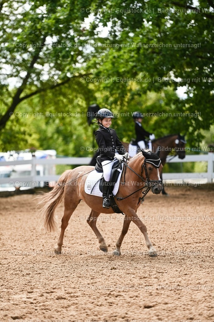 20230716_10-3_Reiter-WB Schritt - Trab - Galopp_0173 | equistock