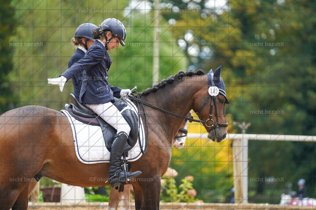 20221008-FAH01154 | Diessen am Ammersee, 2022, Dressur- und Springturnier, Reitsportbilder, Turnierfotografen Bayern, Pferdefotografen, Fotoagentur Herrmann, Turnierbilder