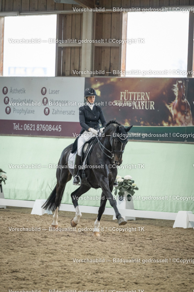 _D5A6900 | Emotionale Pferde- & People-Fotografie rund um Heidelberg, Leimen & Umgebung. Natürliche Fotos von Pferd, Mensch & Familie. Jetzt Termin sichern!