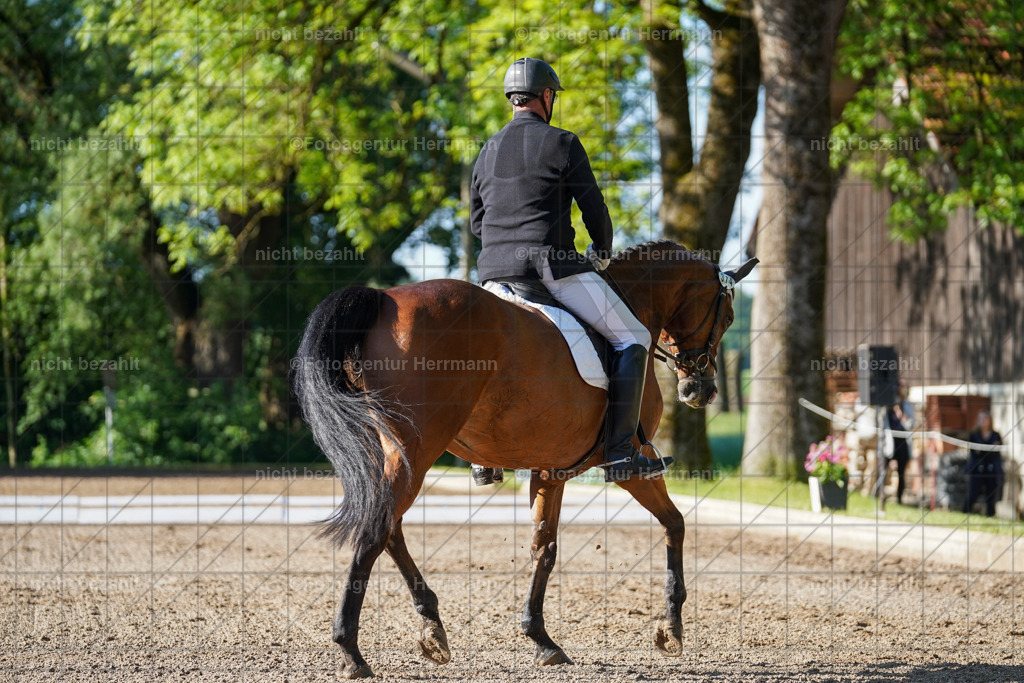 20240519-FAH04291 | Turnierbilder Niederseeon 2024, Vielseitigkeitsdressur, Reitsportbilder aus dem Landkreit Ebersberg, Gut Steinsee, RC Steinsee, Fotoagentur Herrmann
