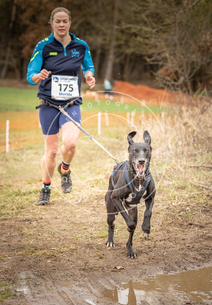 DV3A2344 | Hundefotografie, Tierfotograf, Pfotenfotografie, Fotoshooting Hund, Hunde Portrait, Hundesport, Hundeportraits, Heideshooting, Hunde, Sportfotograf, Hundefotograf, Turnierhundsport, THS,  - Realisiert mit Pictrs.com